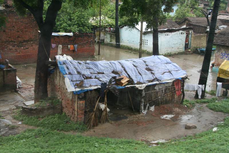 India & Nepal 2011 - 0696